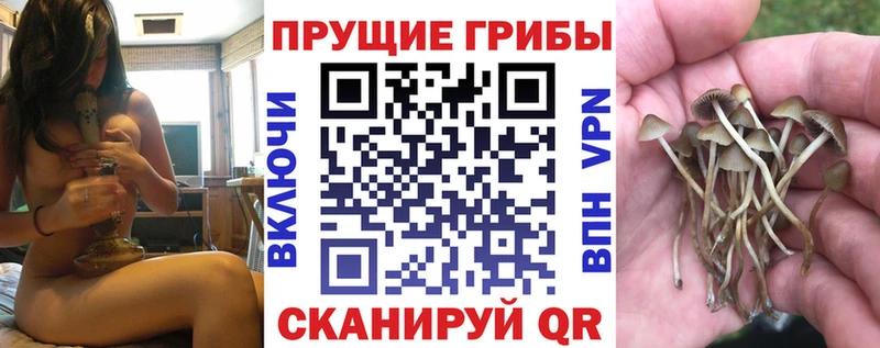 Галлюциногенные грибы Cubensis  Усолье-Сибирское 