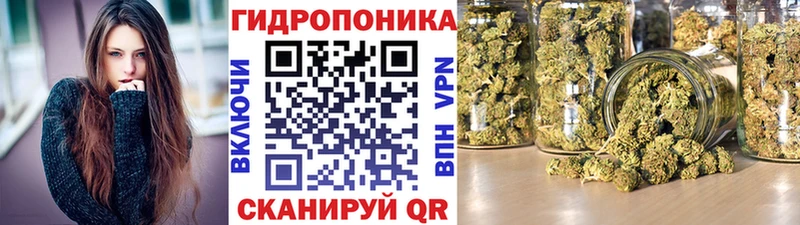 купить наркотик  мега маркетплейс  Каннабис THC 21%  Усолье-Сибирское 